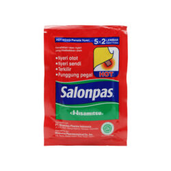 Salonpas Hot 10pcs