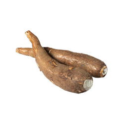 Cassava