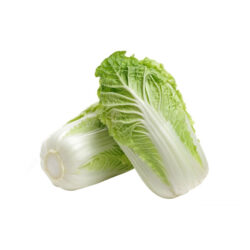 Chinese Cabbage