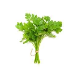 Coriander Leaves