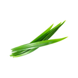 Pandan Leaves
